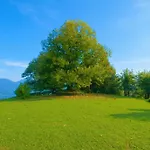 Il Castagno Villa