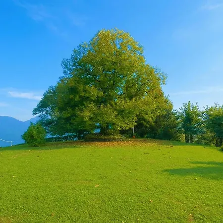 Il Castagno Βίλα